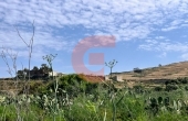 GE3548, Unconverted house of character Sought of area