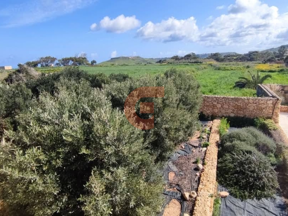 499792189_701241372281875_7650554938093131999_n