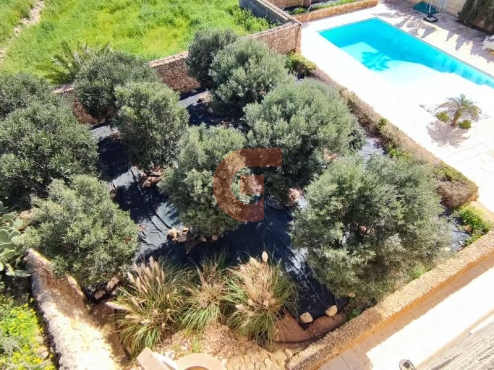 499822030_701241335615212_6387284082518983992_n