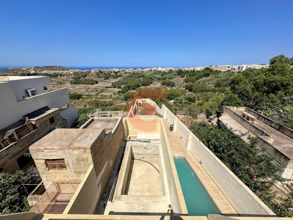 IMG_4200-EDIT IMG_4200-EDIT