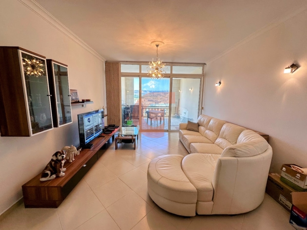 IMG_4252-EDIT IMG_4252-EDIT