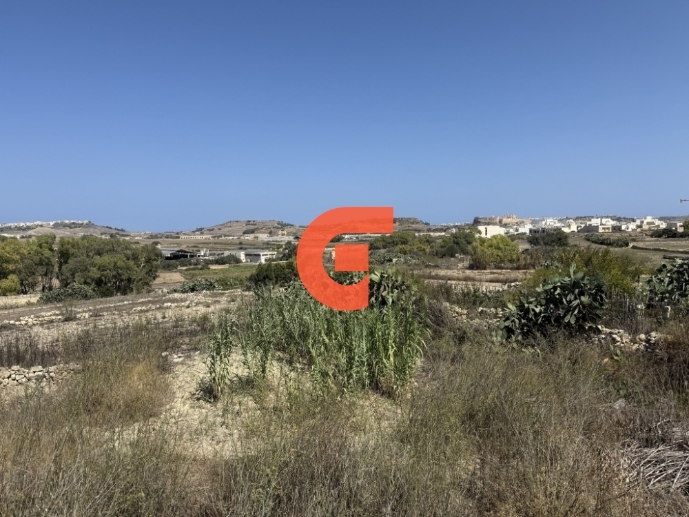 558615833_122157678476771857_7441124286063053778_n