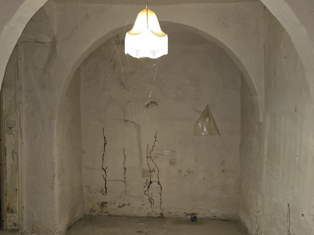 WhatsApp Image 2026-03-25 at 17.07.50vvvvvvvv